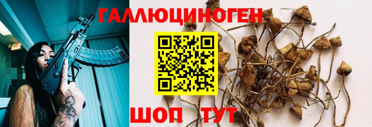 Псилоцибиновые грибы Magic Shrooms  Псилоцибиновые грибы Psilocybine cubensis  где продают   Татарск  Вход с VPN 